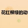 花紅柳綠的動(dòng)物猜生肖（花紅柳綠打一生肖）