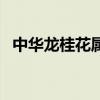 中華龍桂花屬于桂花什么品種（中華龍桂）