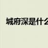 城府深是什么意思（意氣用事是什么意思）