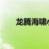 龍騰海嘯小說云龍著（龍騰海嘯txt）