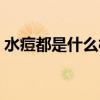 水痘都是什么樣子的（水痘什么樣子的圖片）