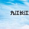 九江長江大橋圖片（九江長江大橋）