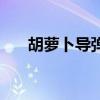 胡蘿卜導(dǎo)彈車(chē)的畫(huà)法（胡蘿卜導(dǎo)彈車(chē)）