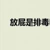 放屁是排毒嗎有好處嗎（放屁是排毒嗎）