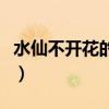 水仙不開花的歇后語是什么意思（水仙不開花）