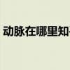 動脈在哪里知乎（動脈在哪里怎么割死的快）