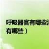 呼吸器官有哪些消化器官有哪些運(yùn)動(dòng)器官有哪些（呼吸器官有哪些）