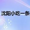 沈陽小吃一條街有哪幾條（沈陽小吃一條街）
