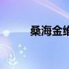 桑海金維的功效作用（桑海金維）