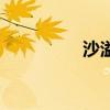 沙溢演員表(沙溢演員) 沙溢演員表(沙溢演員)