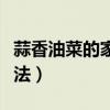 蒜香油菜的家常做法竅門（蒜香油菜的家常做法）