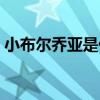 小布爾喬亞是什么意思（小布爾喬亞表情包）