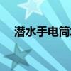 潛水手電筒水下專業(yè)強光（潛水手電筒）