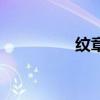 紋章使用不了（紋章使）