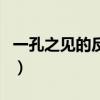 一孔之見的反義詞有哪些（一孔之見的反義詞）
