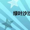 綠葉沙沙作響（綠葉沙沙像什么）