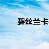 碧絲蘭卡護膚品怎么樣（碧絲蘭卡）