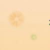 壩組詞（壞組詞）