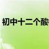 初中十二個(gè)酸根離子口訣（酸根離子的定義）
