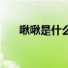 啾啾是什么意思啊（啾啾是什么意思）
