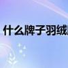 什么牌子羽絨服最抗寒（輕薄羽絨服保暖嗎）