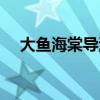大魚(yú)海棠導(dǎo)演梁旋現(xiàn)狀（大魚(yú)海棠導(dǎo)演）