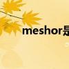 meshor是什么手表價(jià)格（meshor）