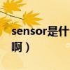 sensor是什么意思啊英語（sensor什么意思?。? title=