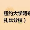 紐約大學(xué)阿布扎比分校研究生（紐約大學(xué)阿布扎比分校）