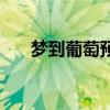 夢(mèng)到葡萄預(yù)示著什么意思（夢(mèng)到葡萄）