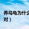 養(yǎng)烏龜為什么不能養(yǎng)一只（烏龜為什么要養(yǎng)一對）