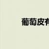 葡萄皮有什么（葡萄皮有營養(yǎng)嗎）