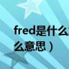 fred是什么意思中文翻譯怎么讀（fred是什么意思）