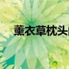 薰衣草枕頭的功效與作用（薰衣草枕頭）