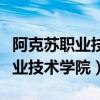阿克蘇職業(yè)技術學院地址具體地址（阿克蘇職業(yè)技術學院）