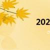 2020款飛渡（飛渡兩廂）