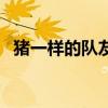 豬一樣的隊(duì)友是什么意思（豬一樣的隊(duì)友）