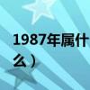 1987年屬什么生肖的最佳配偶（1987年屬什么）