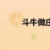 斗牛做莊家洗牌技巧（洗牌技巧）