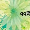 qq寵物2021（qq寵物蛋）