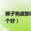獅子狗皮膚哪個手感好2020（獅子狗皮膚哪個好）