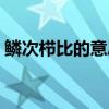 鱗次櫛比的意思是什么呢（鱗次櫛比的意思）