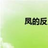 鳳的反義詞是凰（鳳的反義詞）