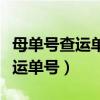 母單號(hào)查運(yùn)單號(hào)順豐快遞單號(hào)查詢(xún)（母單號(hào)查運(yùn)單號(hào)）
