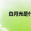 白月光是什么歌曲（白月光是什么歌）