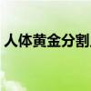 人體黃金分割點比例公式（人體黃金分割點）