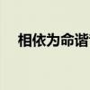 相依為命諧音中文對照（相依為命諧音）