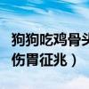 狗狗吃雞骨頭劃破腸道的癥狀（狗吃雞骨頭劃傷胃征兆）