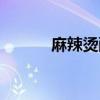 麻辣燙配料秘方（麻辣燙配料）