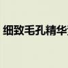 細(xì)致毛孔精華素怎么使用（細(xì)致毛孔精華素）